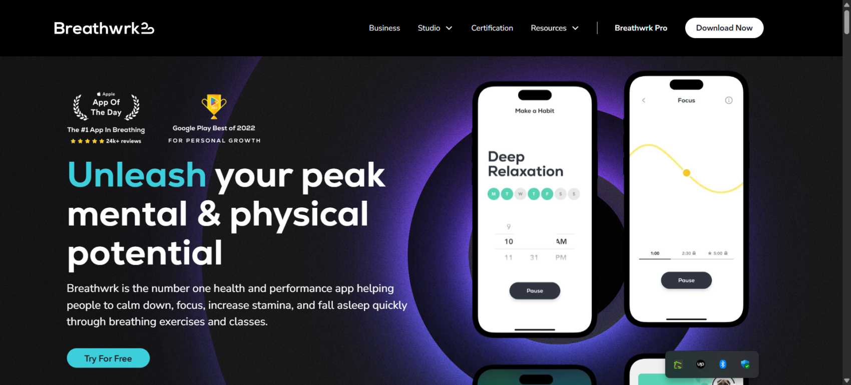 10 best Breathwork certification online in April 2025